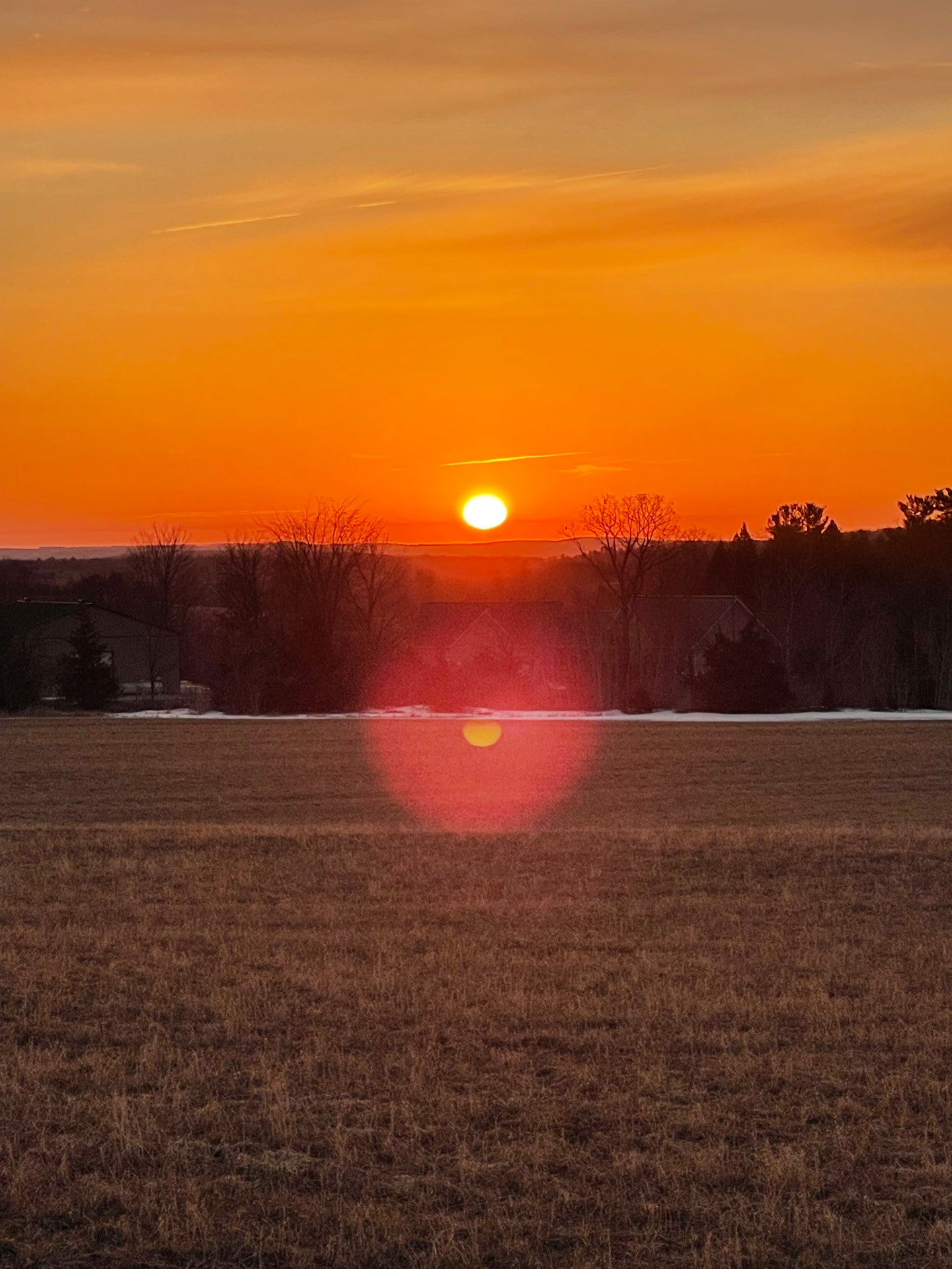 Orange sunset over an open field and treeline in rural Trent Hills